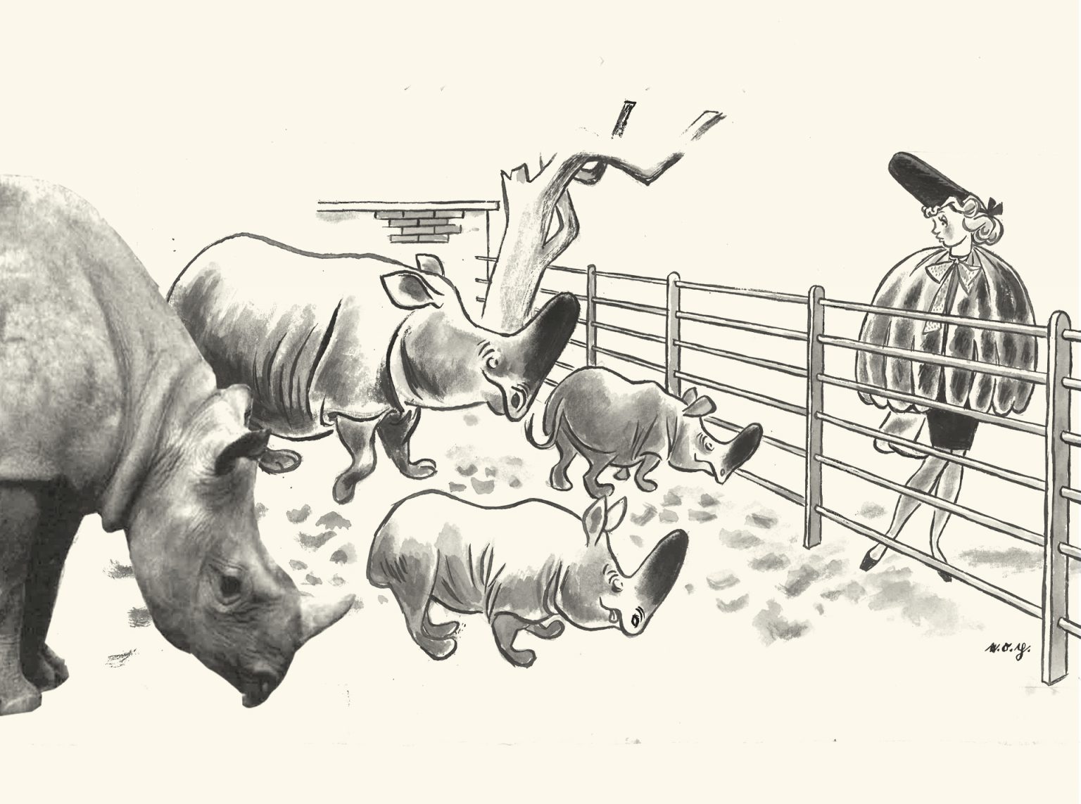 e.o.plauen Zeichnen im Takt von Presse und Leben Erich Ohser (1903